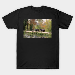 C and O Canal Mules T-Shirt